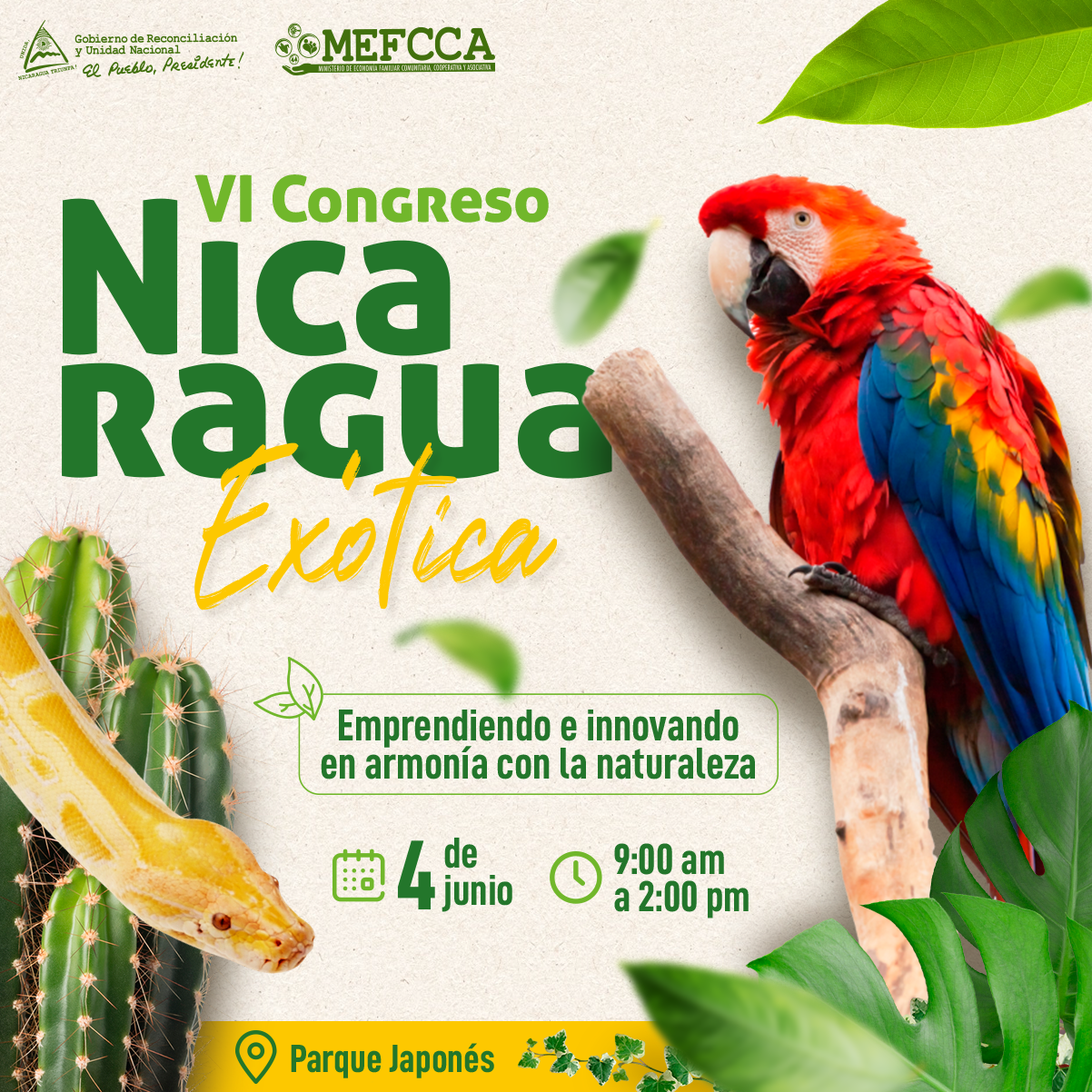 Imagen Destacada