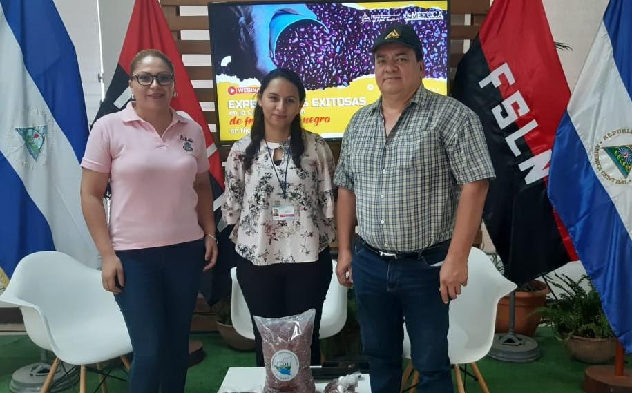 Imagen Destacada