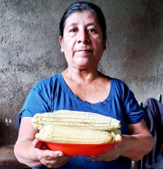 Imagen Destacada