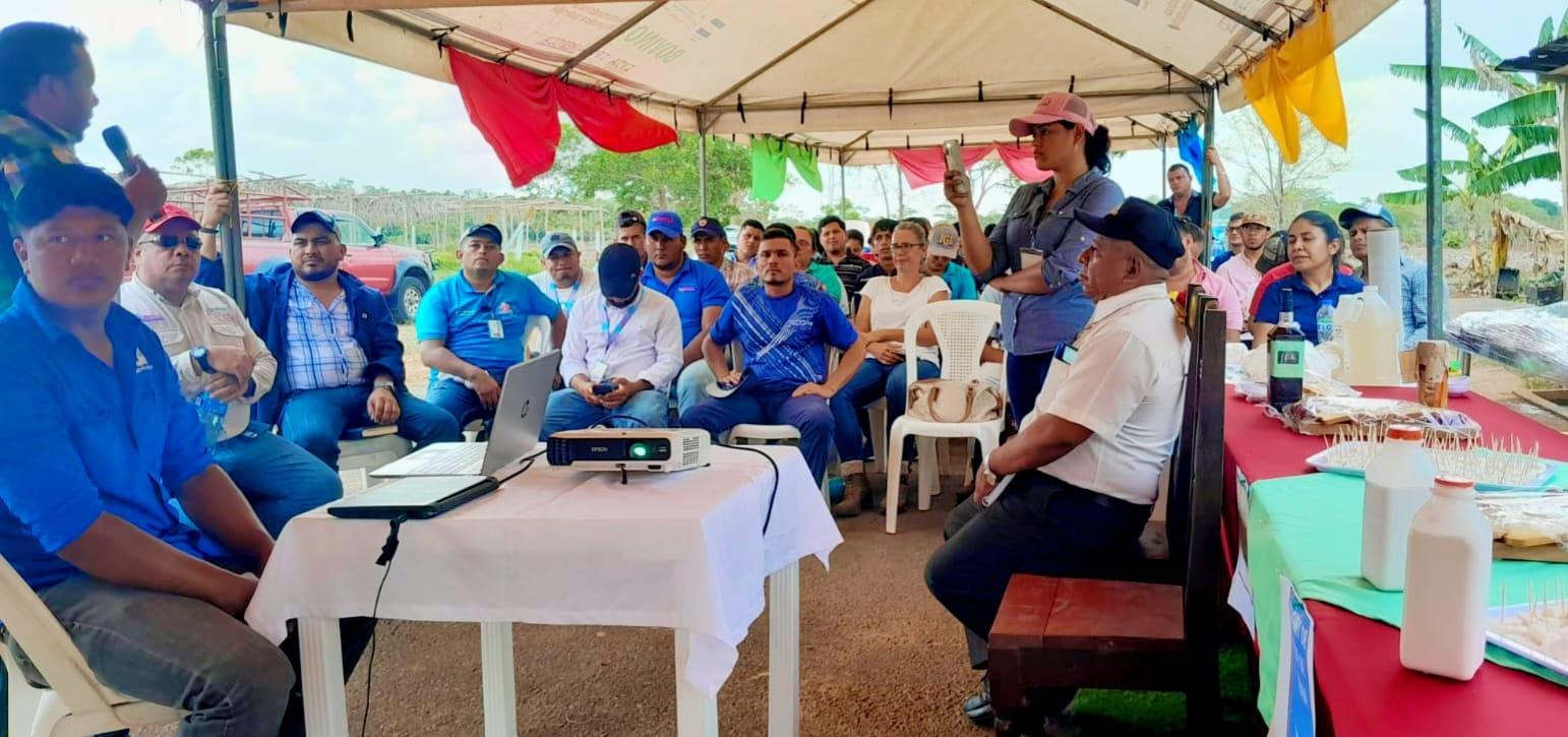 Imagen Destacada